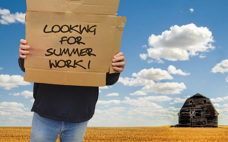 13 Tips to Turn Your Summer Job into A Permanent One and Get Hired